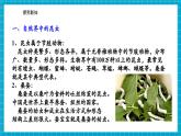 【新教材核心素养】浙教版科学七年级下册1.2 人和动物的生殖与发育 第2课时 （课件+同步教案+导学案+素材）