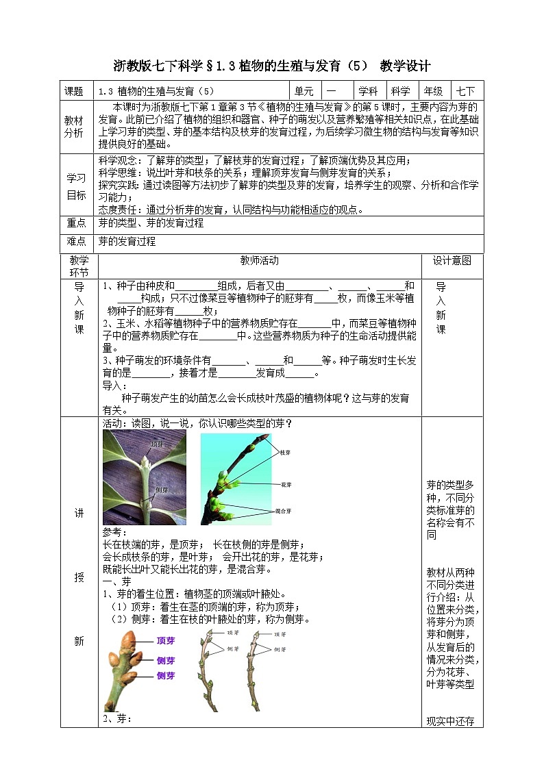 浙教版七下科学 1.3 植物的生殖与发育（5）教学设计（表格式）第1页