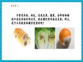 【新教材核心素养】浙教版科学七年级下册1.4 微生物的结构与生殖 第1课时（课件+同步教案+导学案+素材）