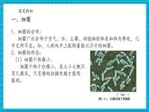 【新教材核心素养】浙教版科学七年级下册1.4 微生物的结构与生殖 第1课时（课件+同步教案+导学案+素材）