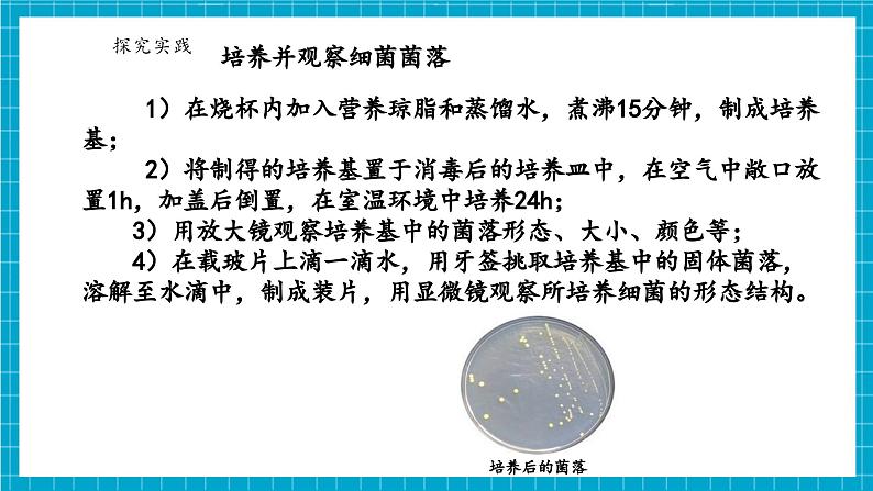 浙教版七下科学 1.4 微生物的结构与发育（1）第8页