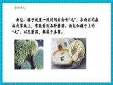 【新教材核心素养】浙教版科学七年级下册1.4 微生物的结构与生殖 第2课时（课件+同步教案+导学案+素材）