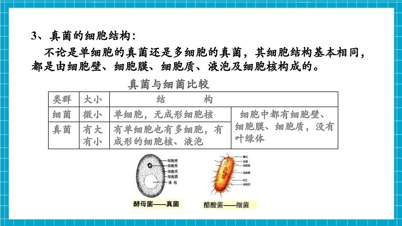 浙教版七下科学 1.4 微生物的结构与发育（2）第8页