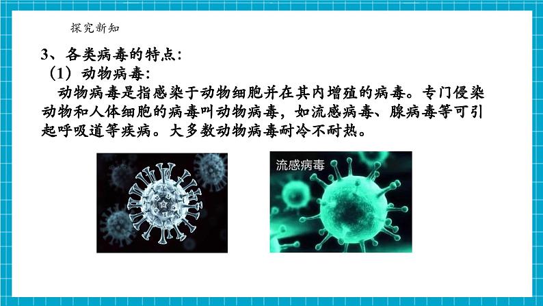 浙教版七下科学 1.4 微生物的结构与发育（3）第7页