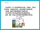 【新教材核心素养】浙教版科学七年级下册1.4 微生物的结构与生殖 第4课时（课件+同步教案+导学案+素材）