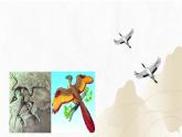 【核心素養(yǎng)】浙教版科學(xué)九年級(jí)下冊(cè) 1.4-1.5生物的遺傳與進(jìn)化 同步課件+同步練習(xí)