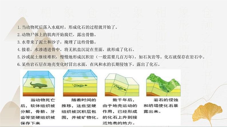 【核心素养】浙教版科学九年级下册 1.4-1.5生物的遗传与进化 同步课件第5页