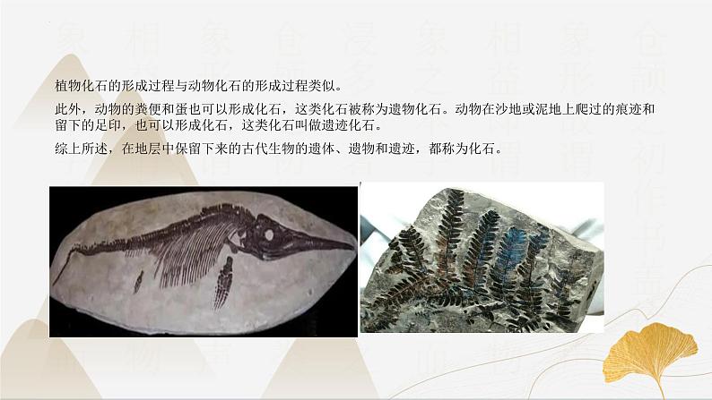 【核心素养】浙教版科学九年级下册 1.4-1.5生物的遗传与进化 同步课件第6页