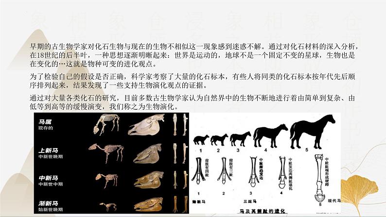 【核心素养】浙教版科学九年级下册 1.4-1.5生物的遗传与进化 同步课件第7页