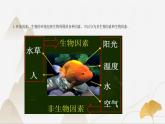【核心素养】浙教版科学九年级下册 2.1-2.3生物间的关系与种群、群落 同步课件+同步练习