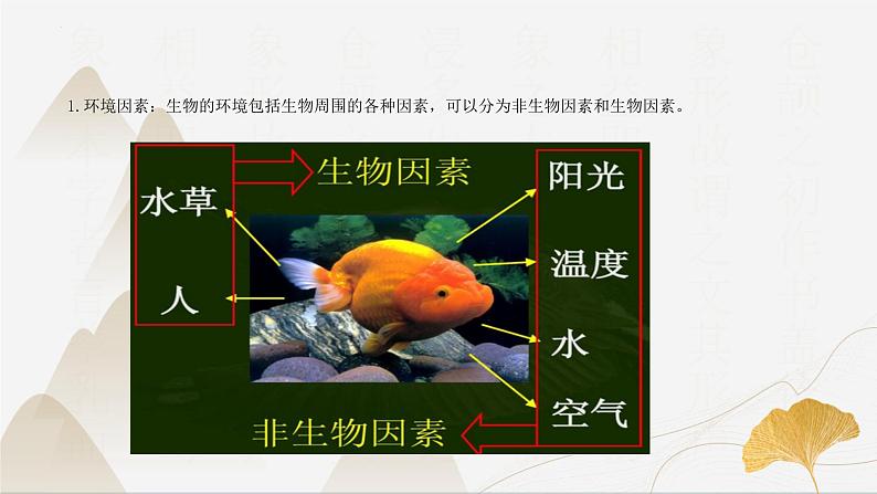 【核心素养】浙教版科学九年级下册 2.1-2.3生物间的关系与种群、群落 同步课件第4页