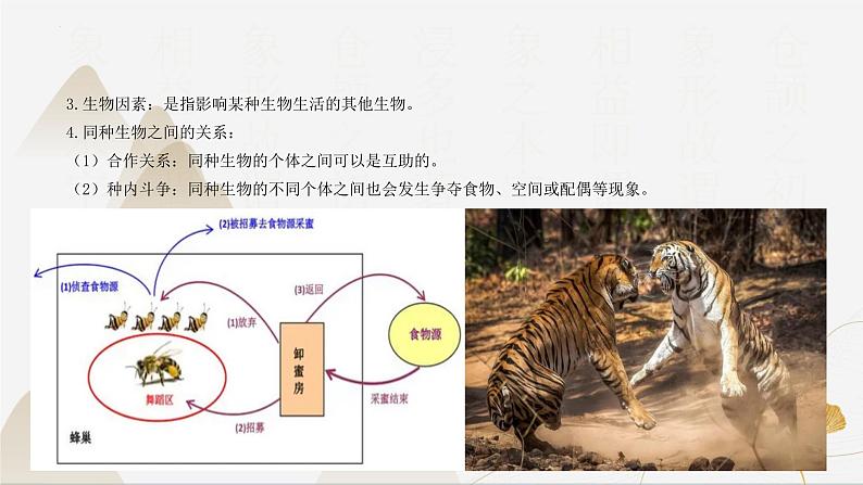 【核心素养】浙教版科学九年级下册 2.1-2.3生物间的关系与种群、群落 同步课件第6页