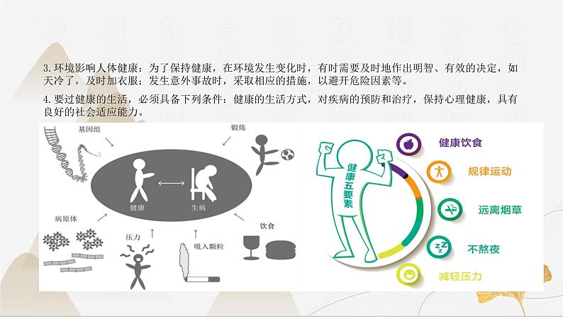 【核心素养】浙教版科学九年级下册 3.1、3.5、3.6健康与保健 同步课件第7页