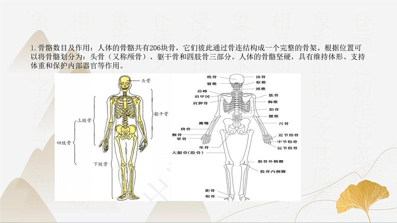 【核心素养】浙教版科学九年级下册 3.1、3.5、3.6健康与保健 同步课件第8页