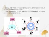 【核心素养】浙教版科学九年级下册 3.1、3.5、3.6健康与保健 同步课件+同步练习