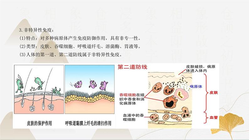 【核心素养】浙教版科学九年级下册 3.3身体的防卫 同步课件第5页