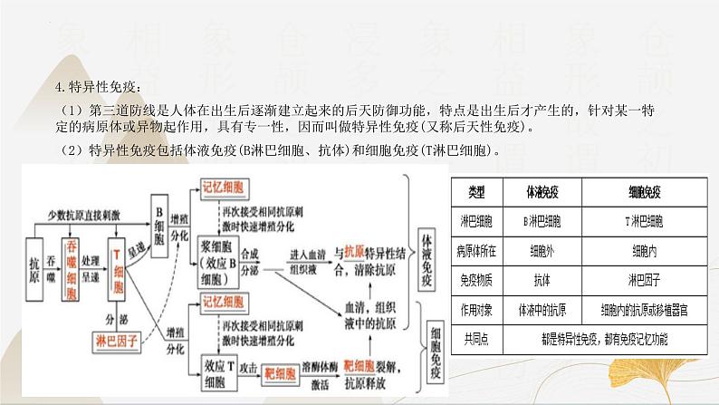 【核心素养】浙教版科学九年级下册 3.3身体的防卫 同步课件第6页