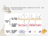 【核心素養(yǎng)】浙教版科學(xué)九年級(jí)下冊(cè) 3.3身體的防衛(wèi) 同步課件+同步練習(xí)