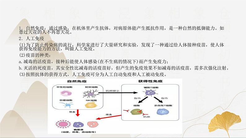 【核心素养】浙教版科学九年级下册 3.3身体的防卫 同步课件第8页