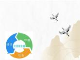 【核心素養(yǎng)】浙教版科學(xué)九年級(jí)下冊(cè) 4.1-4.4環(huán)境及可持續(xù)發(fā)展 同步課件+同步練習(xí)