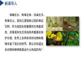 【核心素養(yǎng)】浙教版科學(xué)七年級下冊1.1 生物體的結(jié)構(gòu)層次（第1課時）（教學(xué)課件+同步教案+同步練習(xí)）