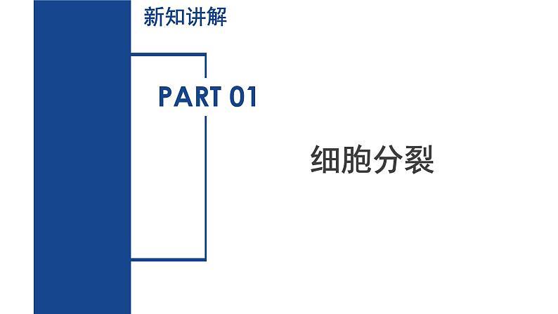 【核心素养】浙教版科学七年级下册1.1 生物体的结构层次（第1课时）（教学课件）第5页