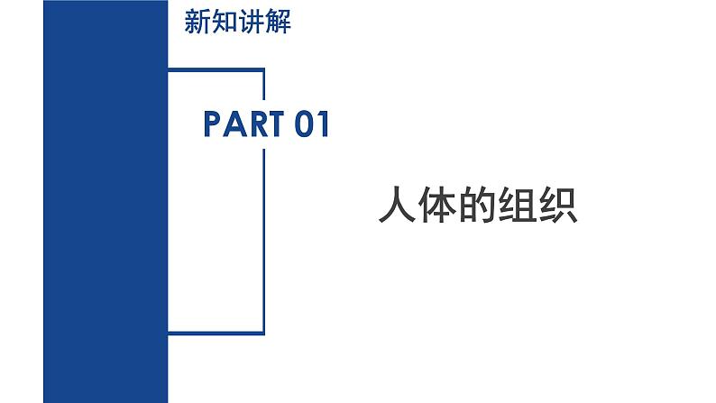 【核心素养】浙教版科学七年级下册1.1 生物体的结构层次（第3课时）（教学课件）第5页