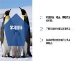 【核心素養(yǎng)】浙教版科學(xué)七年級下冊1.2 人和動物的生殖與發(fā)育（第2課時）（教學(xué)課件+同步教案+同步練習(xí)）