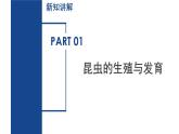 【核心素養(yǎng)】浙教版科學(xué)七年級下冊1.2 人和動物的生殖與發(fā)育（第2課時）（教學(xué)課件+同步教案+同步練習(xí)）