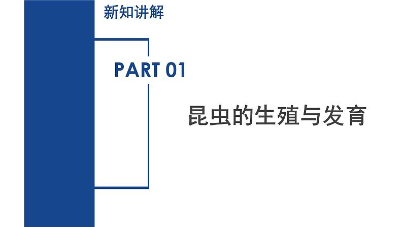 【核心素养】浙教版科学七年级下册1.2 人和动物的生殖与发育（第2课时）（教学课件）第5页