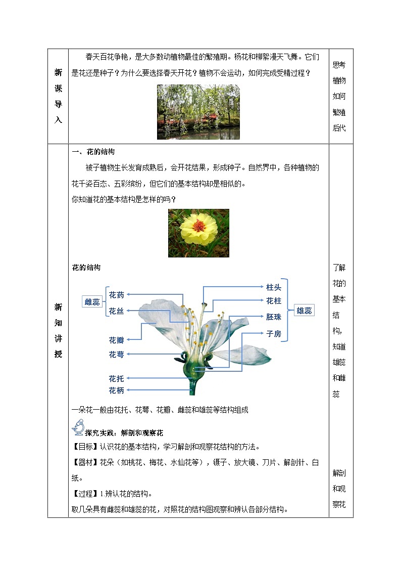 【核心素养】浙教版科学七年级下册1.3 植物的生殖与发育（第1课时）（教学设计）第2页