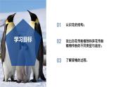【核心素養(yǎng)】浙教版科學(xué)七年級(jí)下冊(cè)1.3 植物的生殖與發(fā)育（第1課時(shí)）（教學(xué)課件+同步教案+同步練習(xí)）