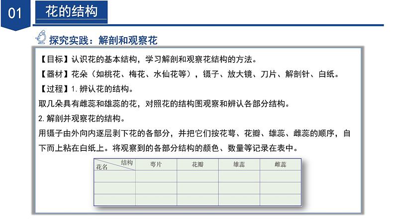 【核心素养】浙教版科学七年级下册1.3 植物的生殖与发育（第1课时）（教学课件）第8页