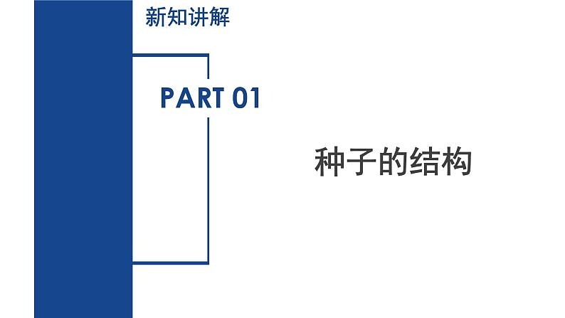 【核心素养】浙教版科学七年级下册1.3 植物的生殖与发育（第2课时）（教学课件）第5页