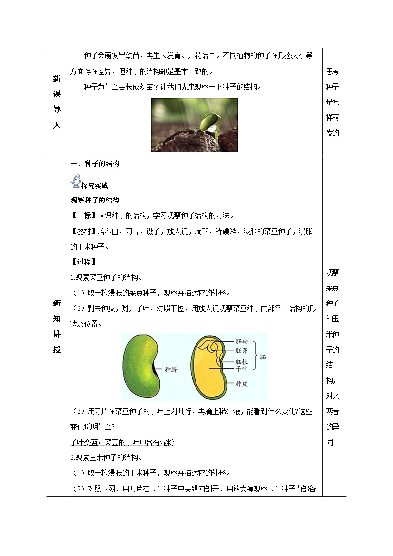 【核心素养】浙教版科学七年级下册1.3 植物的生殖与发育（第2课时）（教学设计）第2页