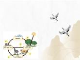 【核心素養(yǎng)】浙教版科學九年級下冊 2.4-2.5生態(tài)系統(tǒng)的結(jié)構(gòu)功能與穩(wěn)定性 同步課件+同步練習