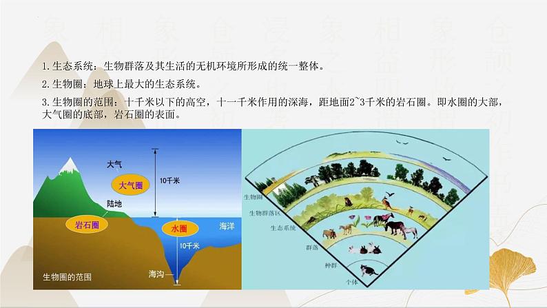 【核心素养】浙教版科学九年级下册 2.4-2.5生态系统的结构功能与稳定性 同步课件第4页