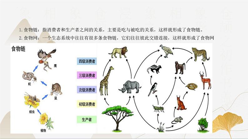 【核心素养】浙教版科学九年级下册 2.4-2.5生态系统的结构功能与稳定性 同步课件第8页