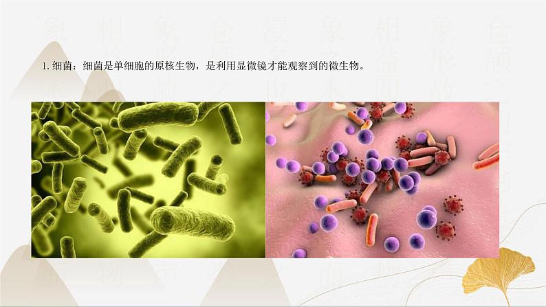 【核心素养】浙教版科学九年级下册 3.2、3.4传染病与非传染病 同步课件第4页