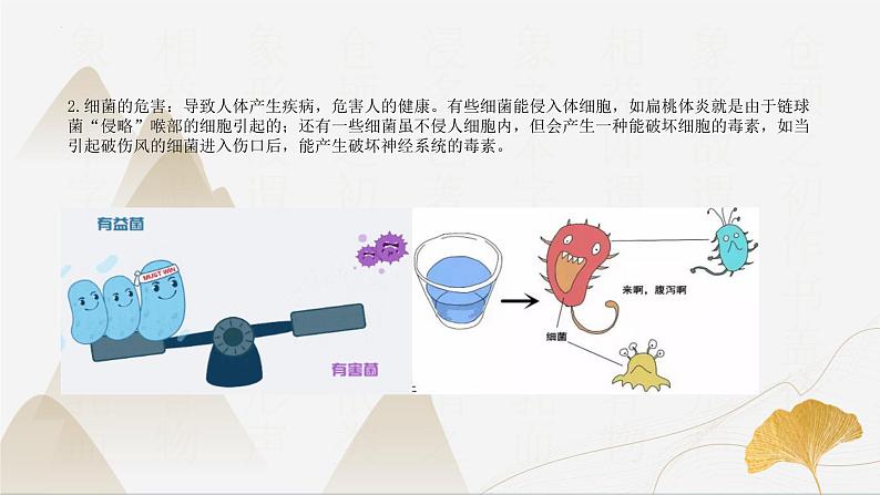 【核心素养】浙教版科学九年级下册 3.2、3.4传染病与非传染病 同步课件第5页