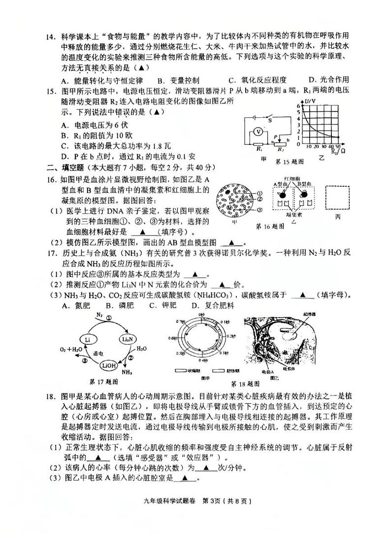 浙江省金华市东阳市2024-2025学年九年级上学期1月期末科学试题第3页