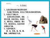 【新教材核心素養(yǎng)】浙教版科學(xué)七年級下冊1.2 人和動物的生殖與發(fā)育 第3課時（課件+同步教案+導(dǎo)學(xué)案+素材）