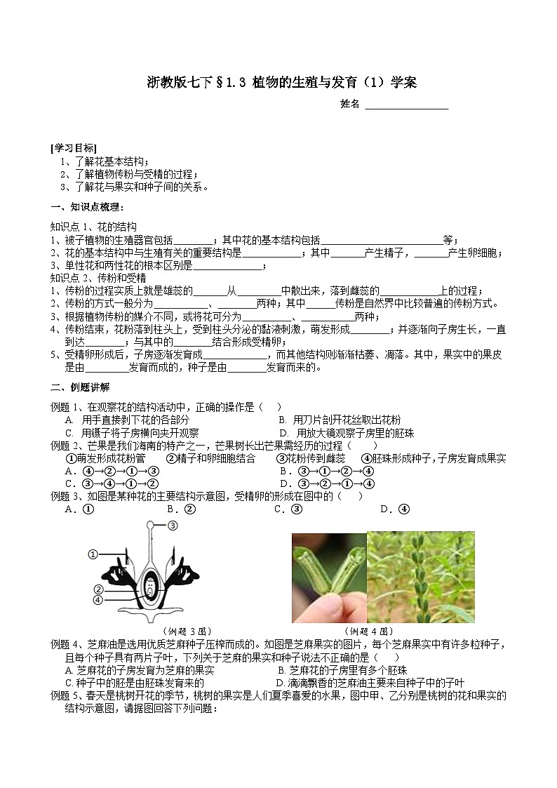 浙教版七下科学 1. 3 植物的生殖与发育（1） 学案第1页