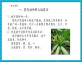 【新教材核心素養(yǎng)】浙教版科學(xué)七年級(jí)下冊(cè)1.3 植物的生殖與發(fā)育 第1課時(shí)（課件+同步教案+導(dǎo)學(xué)案+素材）