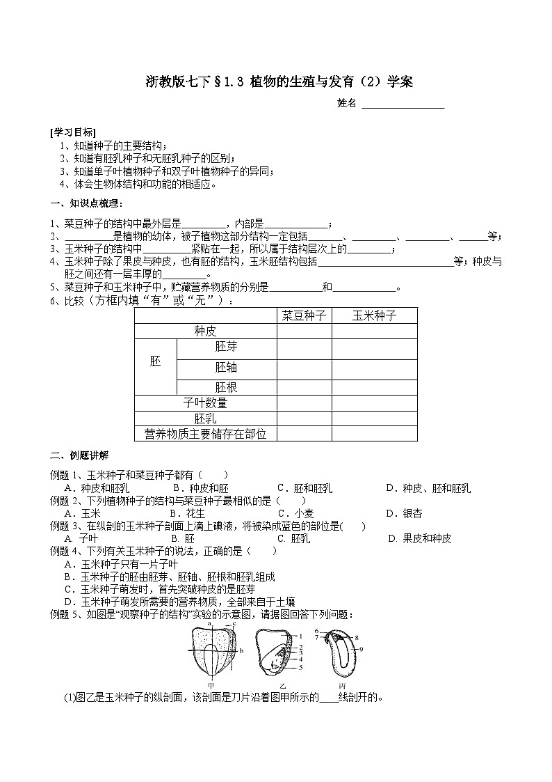 浙教版七下科学 1.3 植物的生殖与发育（2） 学案第1页