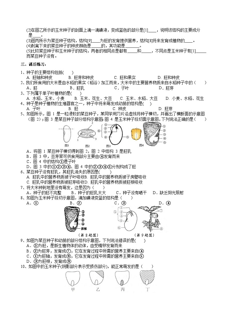浙教版七下科学 1.3 植物的生殖与发育（2） 学案第2页