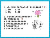 【新教材核心素養(yǎng)】浙教版科學(xué)七年級(jí)下冊(cè)1.3 植物的生殖與發(fā)育 第2課時(shí)（課件+同步教案+導(dǎo)學(xué)案+素材）