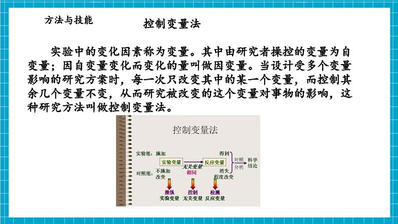 浙教版七下科学 1.3 植物的生殖与发育（3）第7页