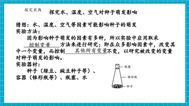 浙教版七下科学 1.3 植物的生殖与发育（3）第8页