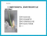 【新教材核心素養(yǎng)】浙教版科學(xué)七年級(jí)下冊(cè)1.3 植物的生殖與發(fā)育 第3課時(shí)（課件+同步教案+導(dǎo)學(xué)案+素材）